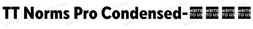 TT Norms Pro Condensed字体转换